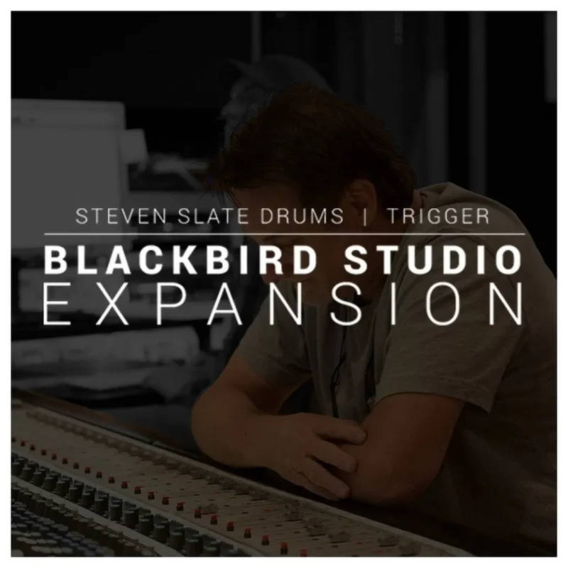 Steven Slate Drums SSD Blackbird Expansion interface