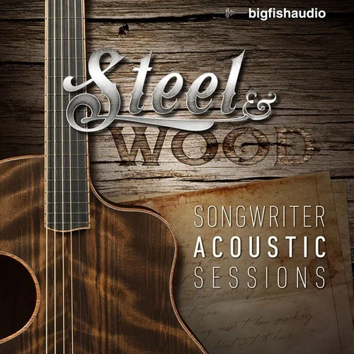 Big Fish Audio Steel & Wood: Songwriter Acoustic Sessions interface