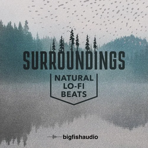 Big Fish Audio Surroundings: Natural Lo-Fi Beats interface