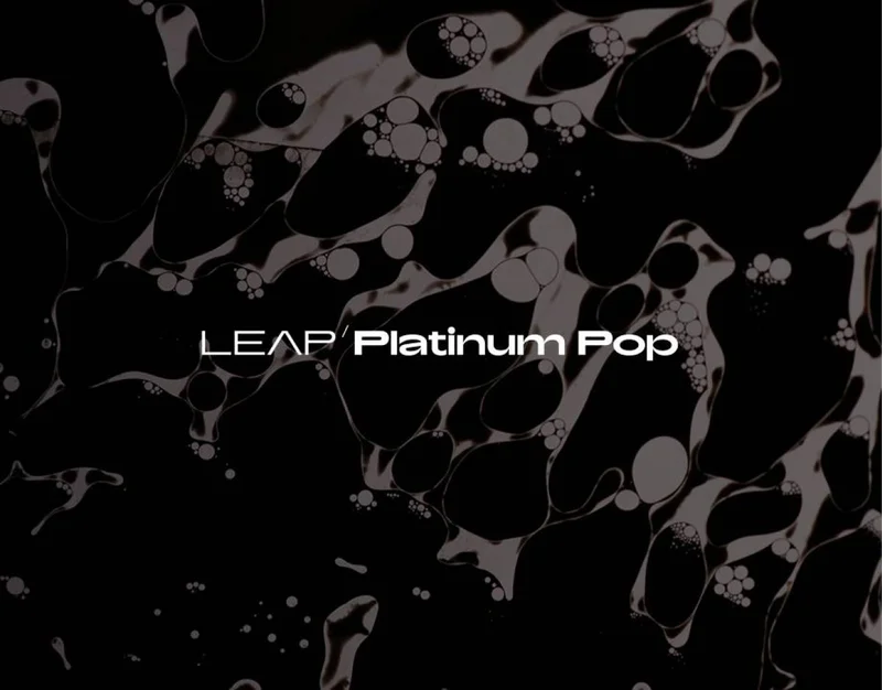 Native Instruments Leap Expansion - Platinum Pop interface