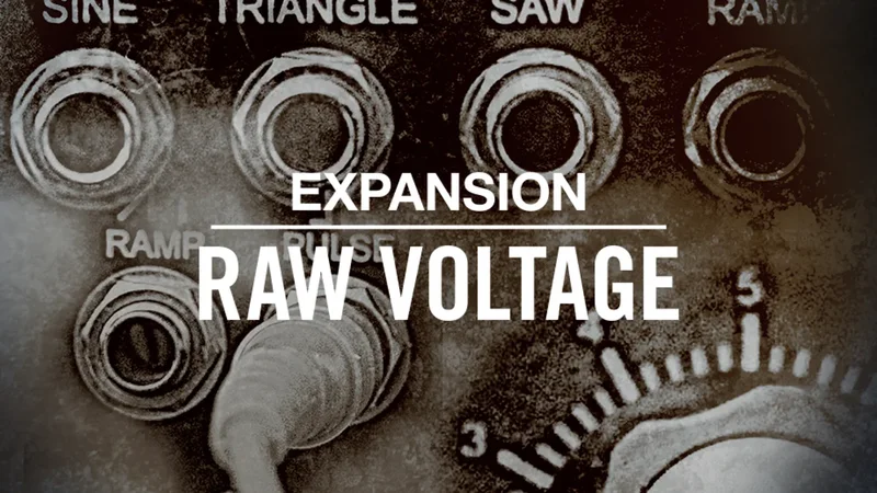 Native Instruments RAW VOLTAGE interface