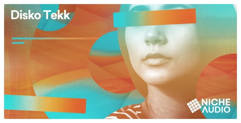 Niche Audio Disko Tekk Wav Pack interface
