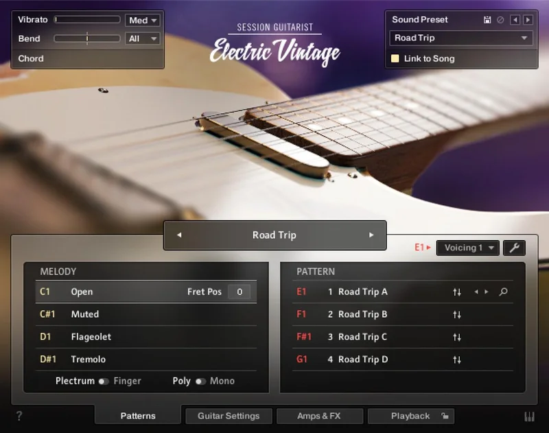 Native Instruments Session Guitarist - Electric Vintage interface