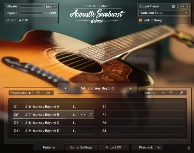 Native Instruments Session Guitarist - Acoustic Sunburst Deluxe interface