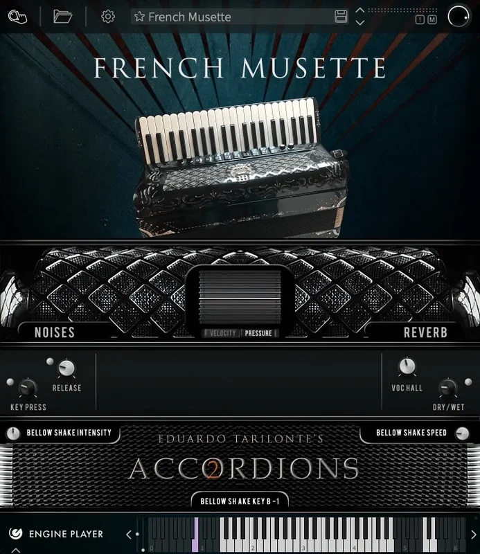 Engine Audio Accordions 2: French Musette interface