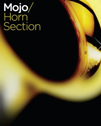 Vir2 Instruments MOJO: Horn Section interface