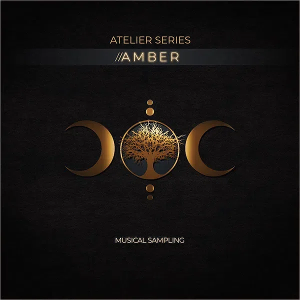 Musical Sampling Atelier Series Amber interface