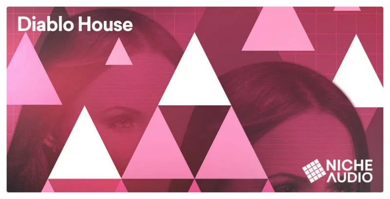 Niche Audio Diablo House interface