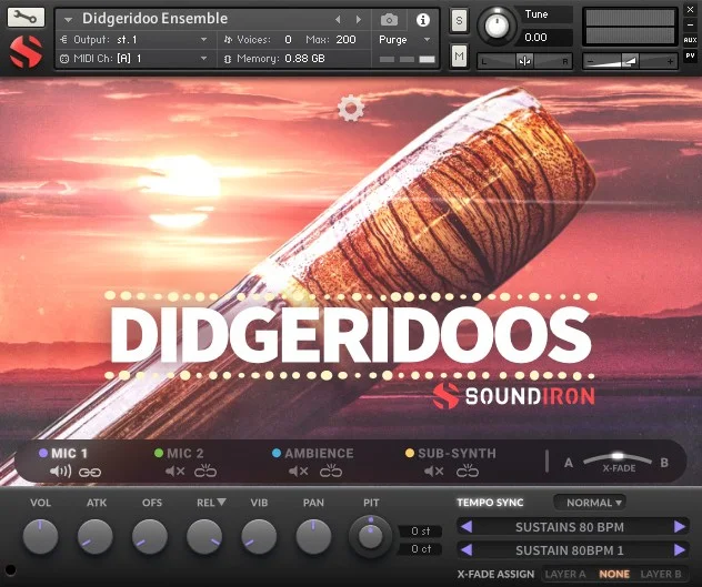 Soundiron Didgeridoos interface