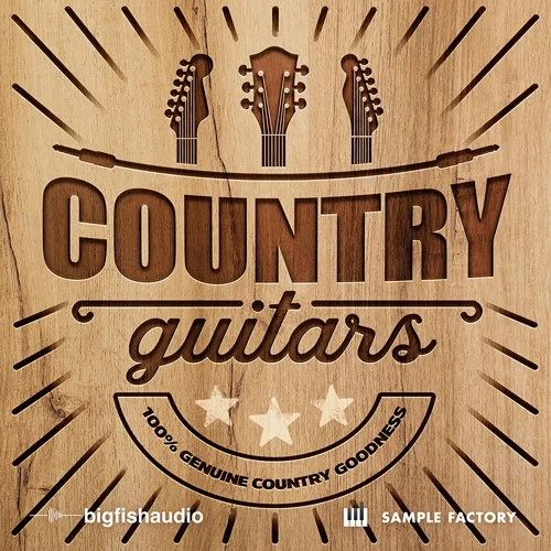 Big Fish Audio Country-Guitars interface