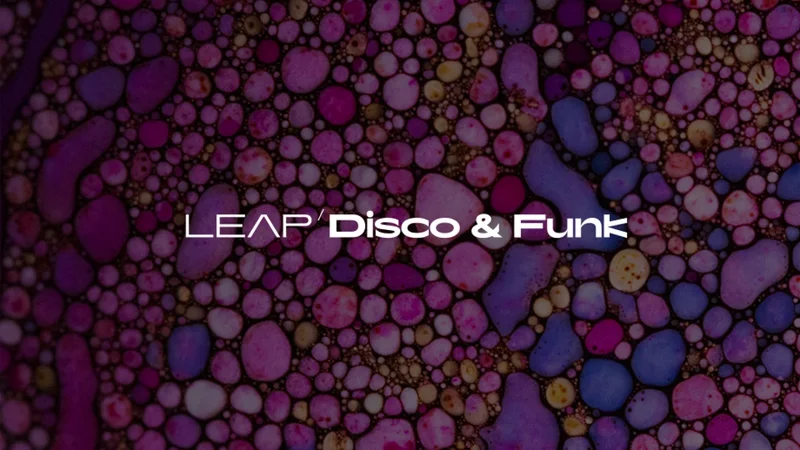 Disco and Funk interface