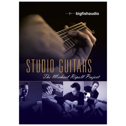 Big Fish Audio Studio Guitars: The Michael Ripoll Project interface