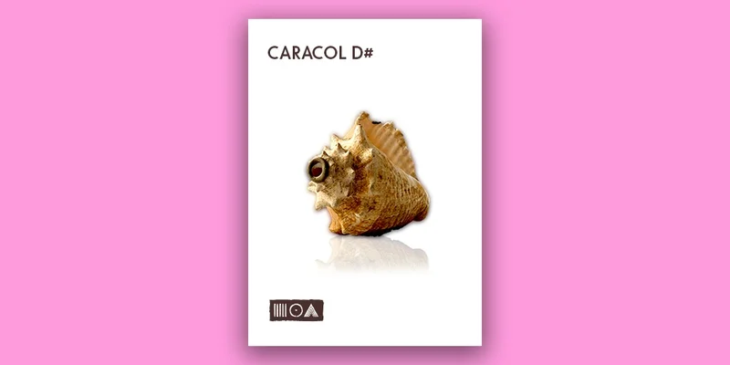 Sounds of the Earth Caracol D# interface