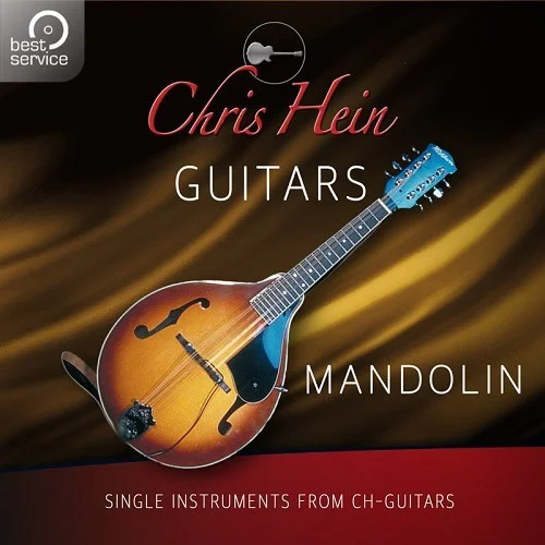 Best Service Chris Hein Guitars - Mandolin interface