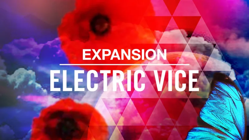 Native Instruments ELECTRIC VICE interface