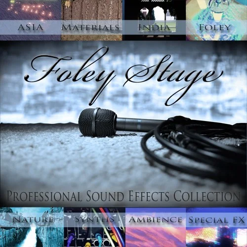 Best Service Foley Stage interface