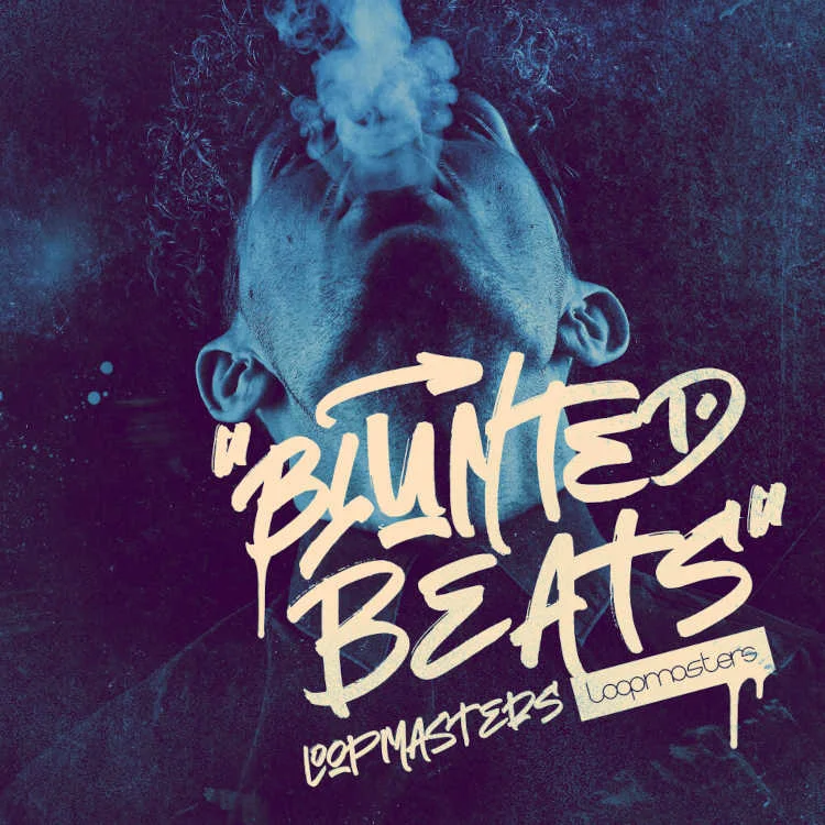 Loopmasters Blunted Beats interface