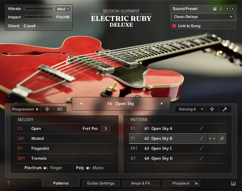 Native Instruments Session Guitarist - Electric Ruby Deluxe interface