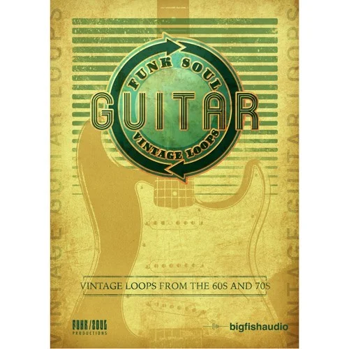 Big Fish Audio Funk Soul Vintage Guitar Loops interface