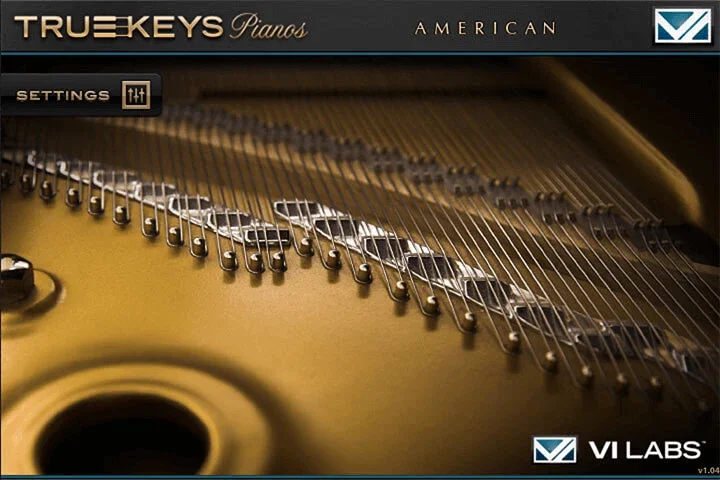 VI Labs True Keys American Grand interface