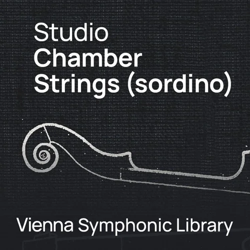 VSL SYNCHRON-ized Chamber Strings Sordino interface