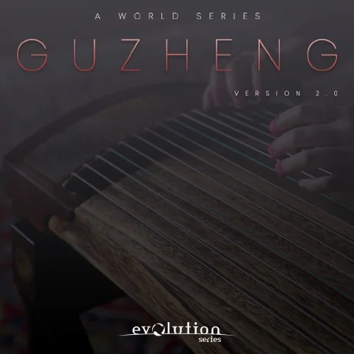 Evolution Series World Strings Guzheng interface