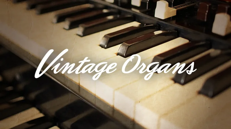 Native Instruments VINTAGE ORGANS interface