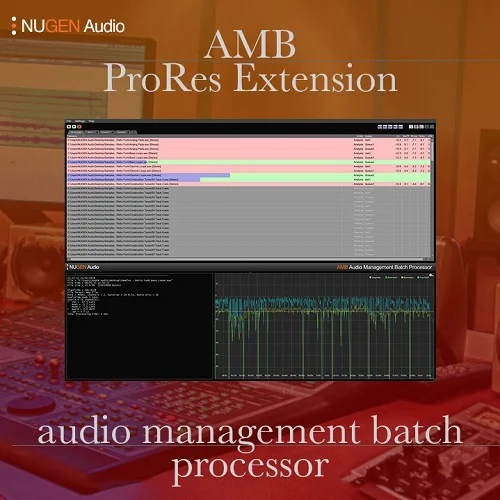 Nugen Audio AMB ProRes Extension interface