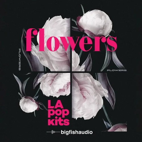 Big Fish Audio Flowers: LA Pop Kits interface