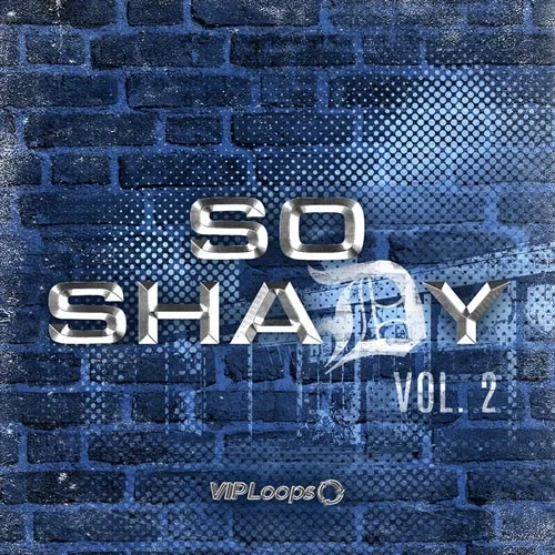 Big Fish Audio So Shady Vol. 2 interface
