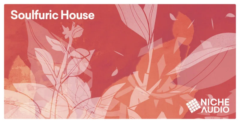Niche Audio Soulfuric House interface