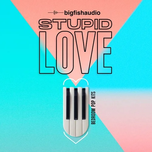 Big Fish Audio Stupid Love: Bedroom Pop Construction Kits interface