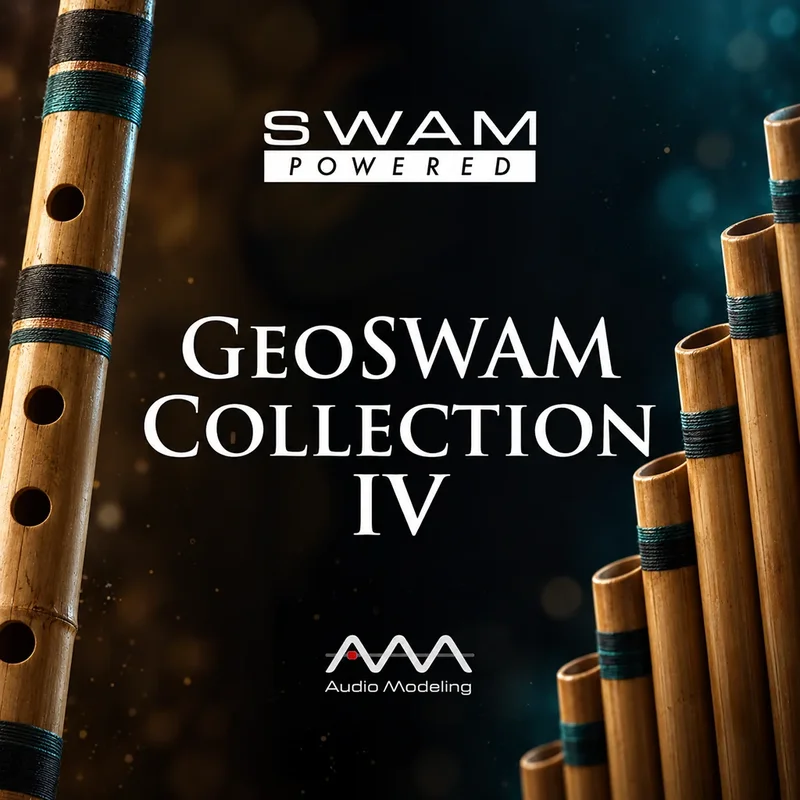 MoForte GeoSWAM Collection IV interface