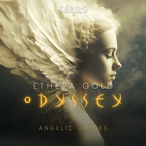 Zero-G Ethera Gold Odyssey interface