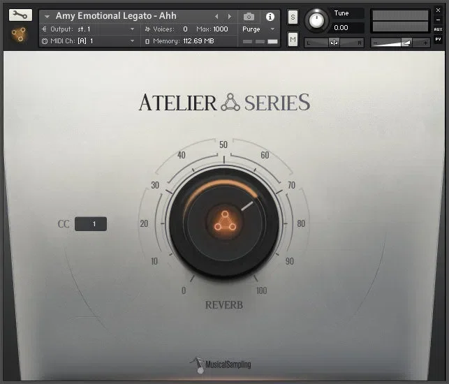 Musical Sampling Atelier Series Amy interface