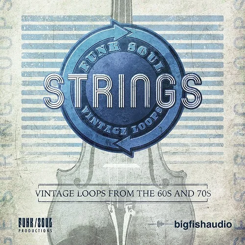 Big Fish Audio Funk Soul Vintage String Loops interface