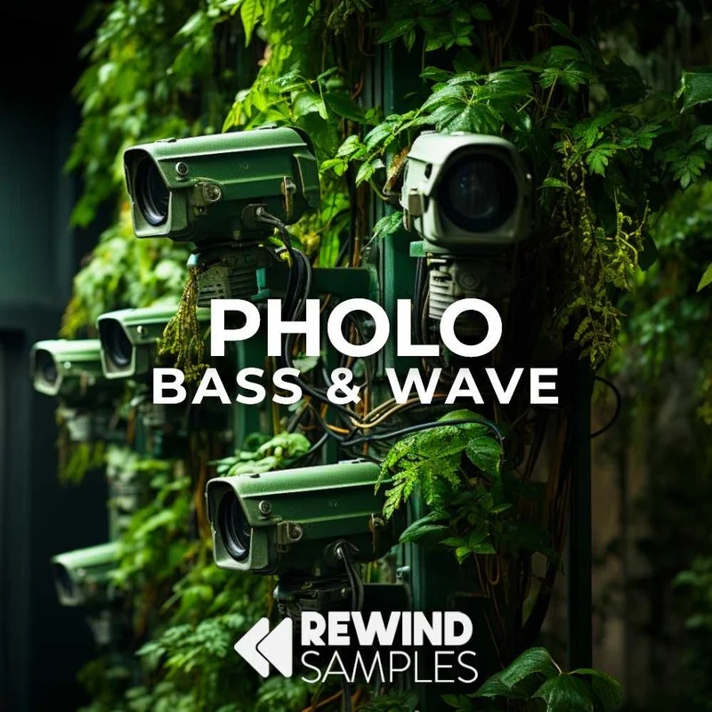Rewind Samples Pholo: Bass & Wave interface