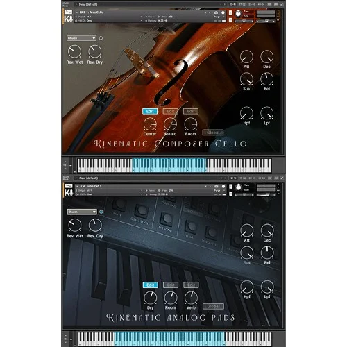 Kinematic Kinematic Composer Cello interface