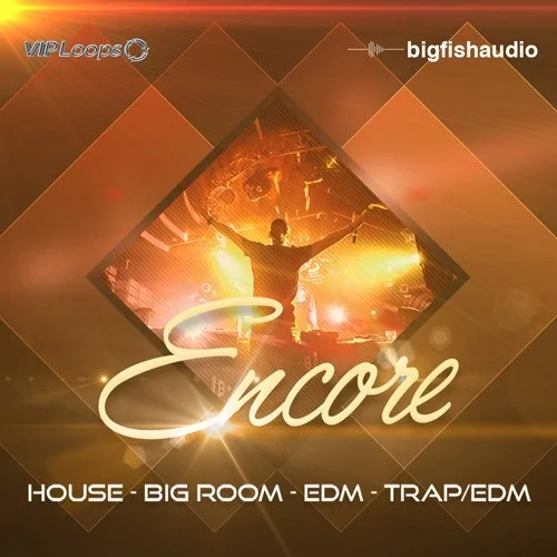 Big Fish Audio Encore interface