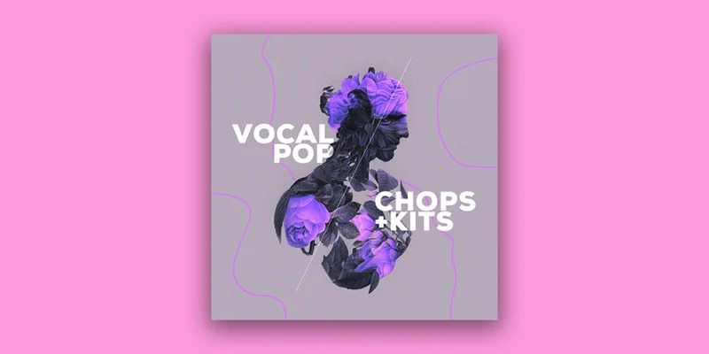 Audiomodern Loopmix Expansion: VOCAL POP interface