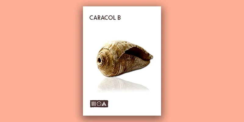 Sounds of the Earth Caracol B interface