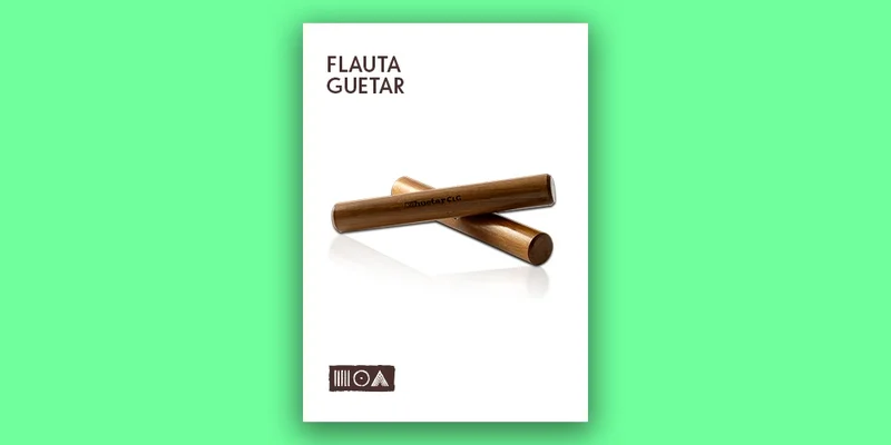Sounds of the Earth Flauta Guetar interface