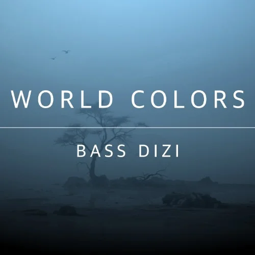Evolution Series World Colors Bass Dizi interface