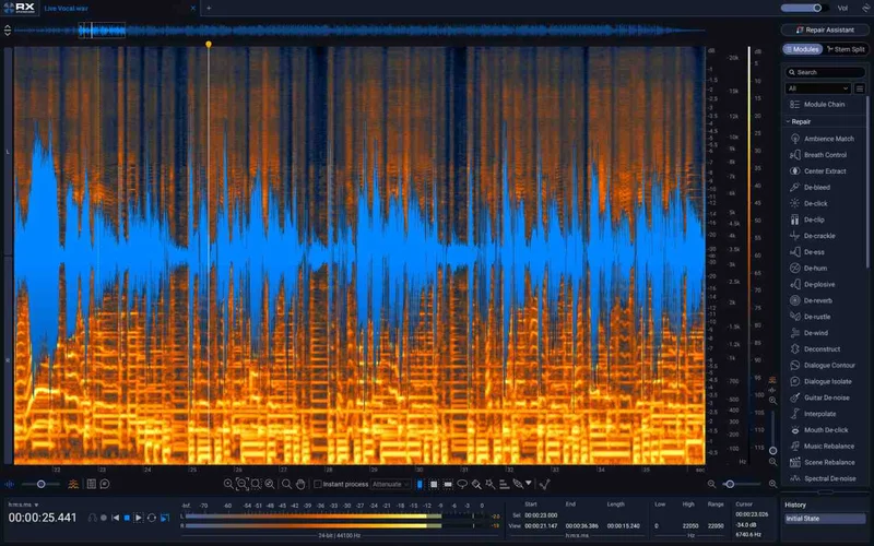 iZotope RX 12 Standard interface
