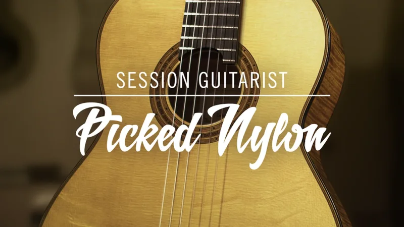 Session Guit. - Picked Nylon interface