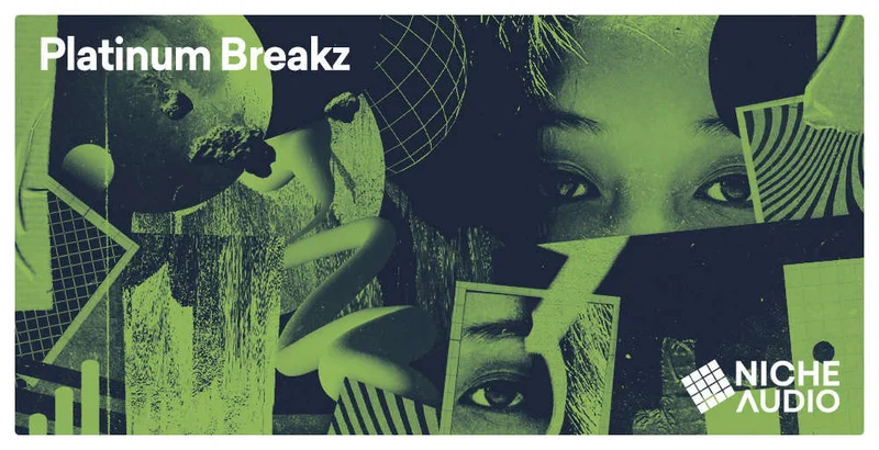 Niche Audio Platinum Breakz interface