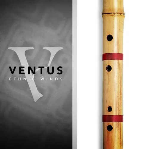 Impact Soundworks Bansuri interface