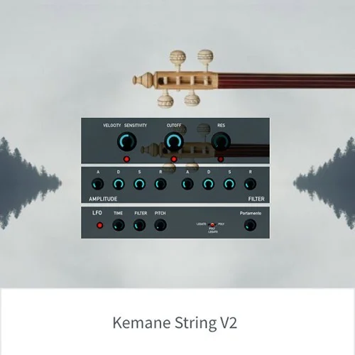 Rast Sound Kemane String V2 interface
