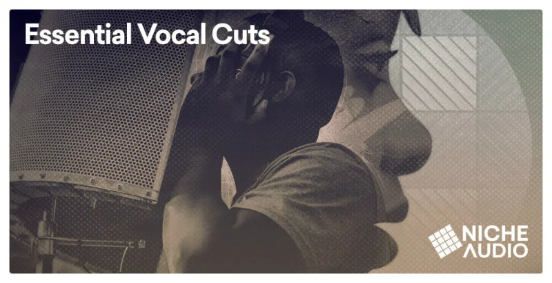 Niche Audio Essential Vocal Cuts interface