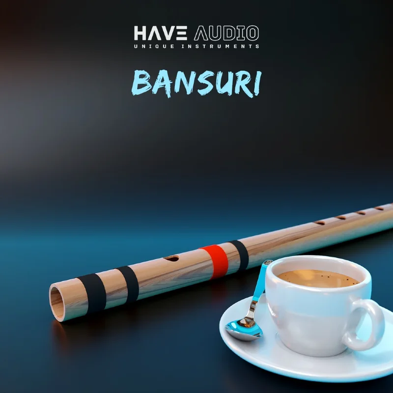HAVE Audio Bundle Bansuri interface